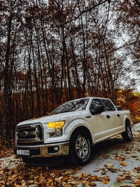 Ford F150 Пикап , снимка 8