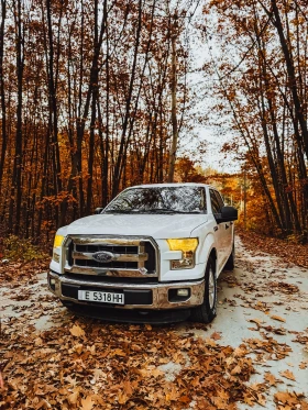 Ford F150 Пикап , снимка 1