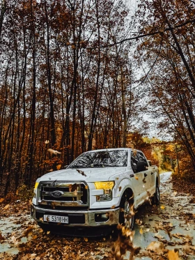 Ford F150 Пикап , снимка 2