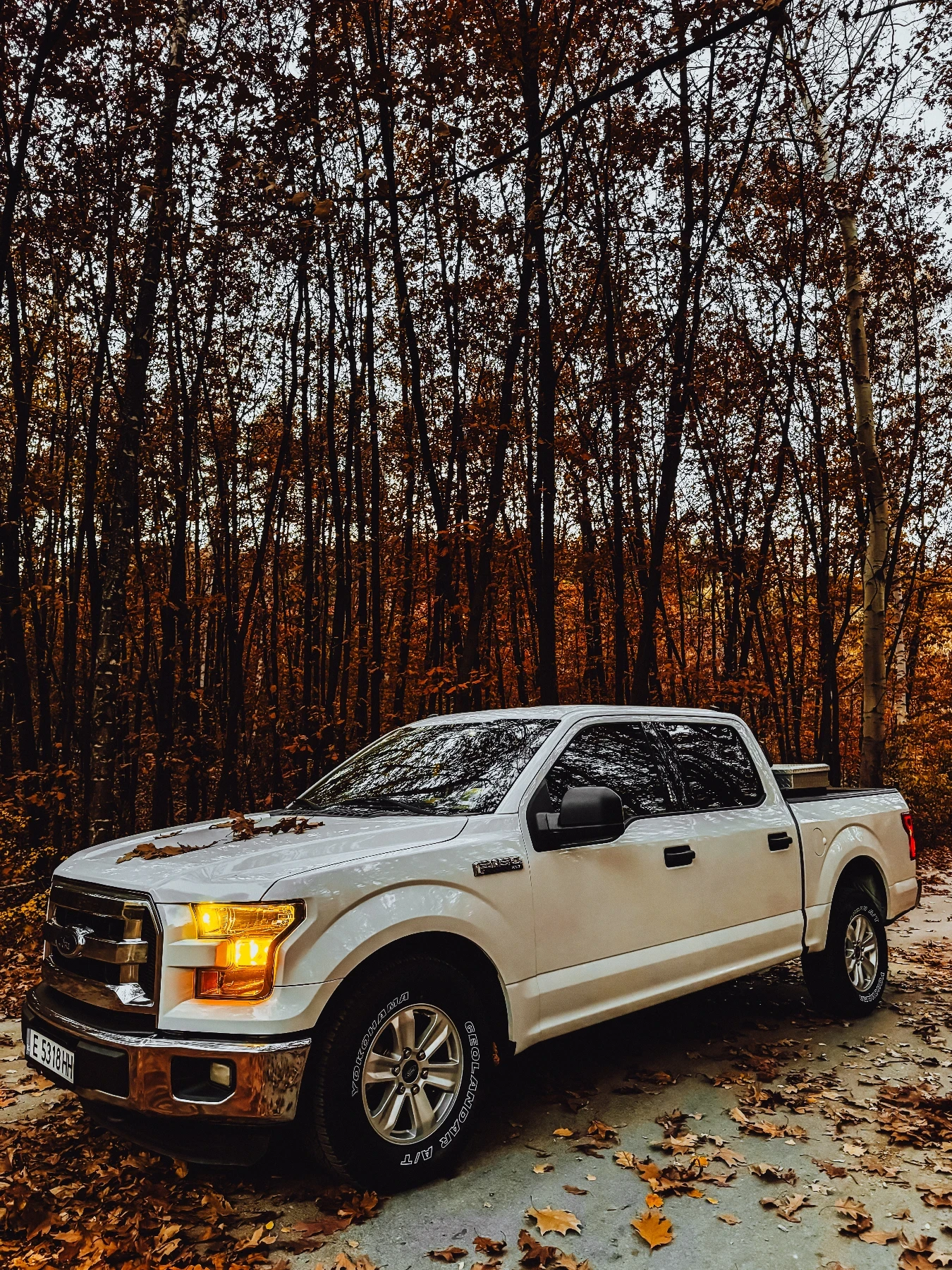 Ford F150 Пикап  - изображение 10