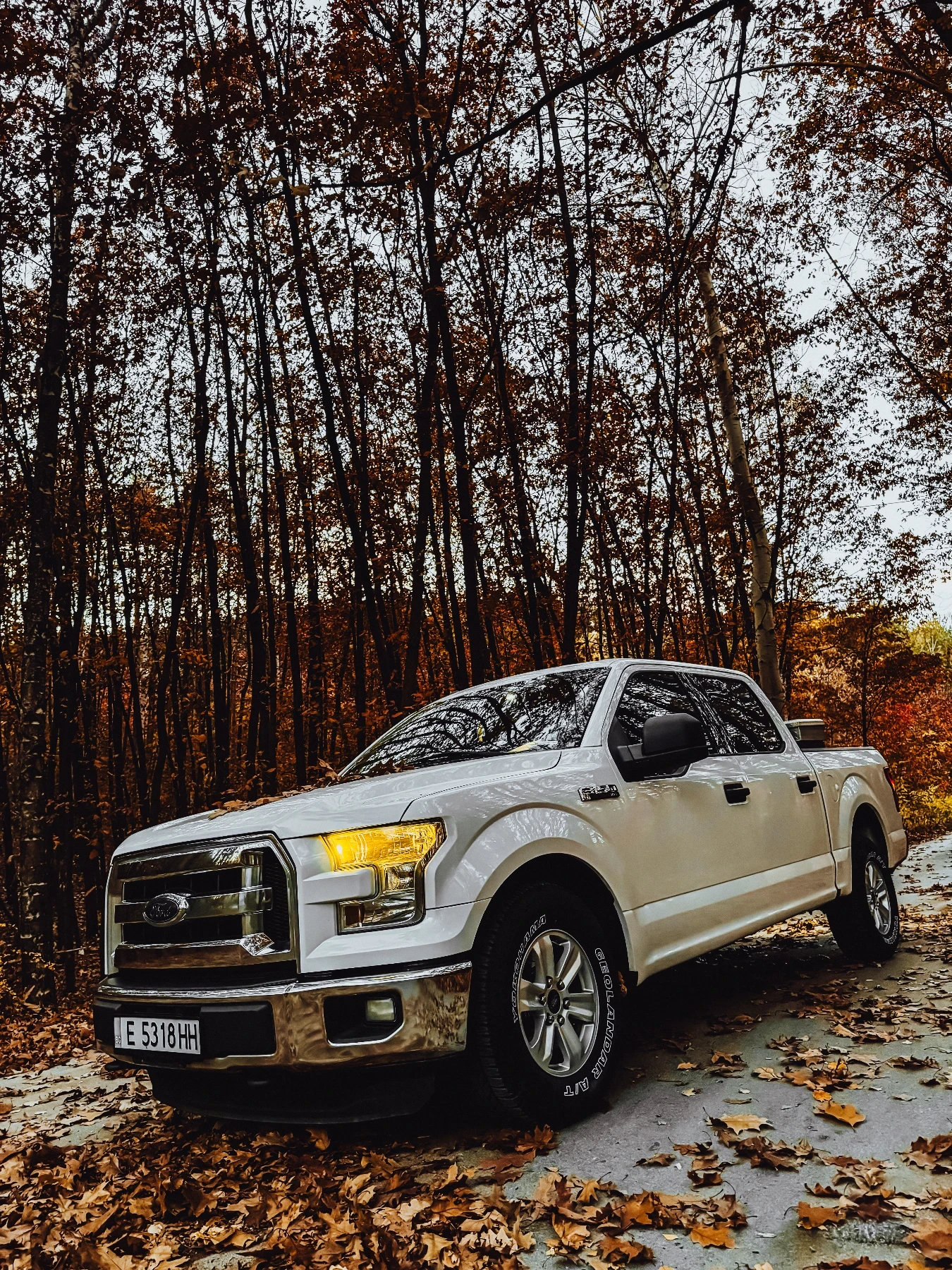 Ford F150 Пикап  - изображение 8