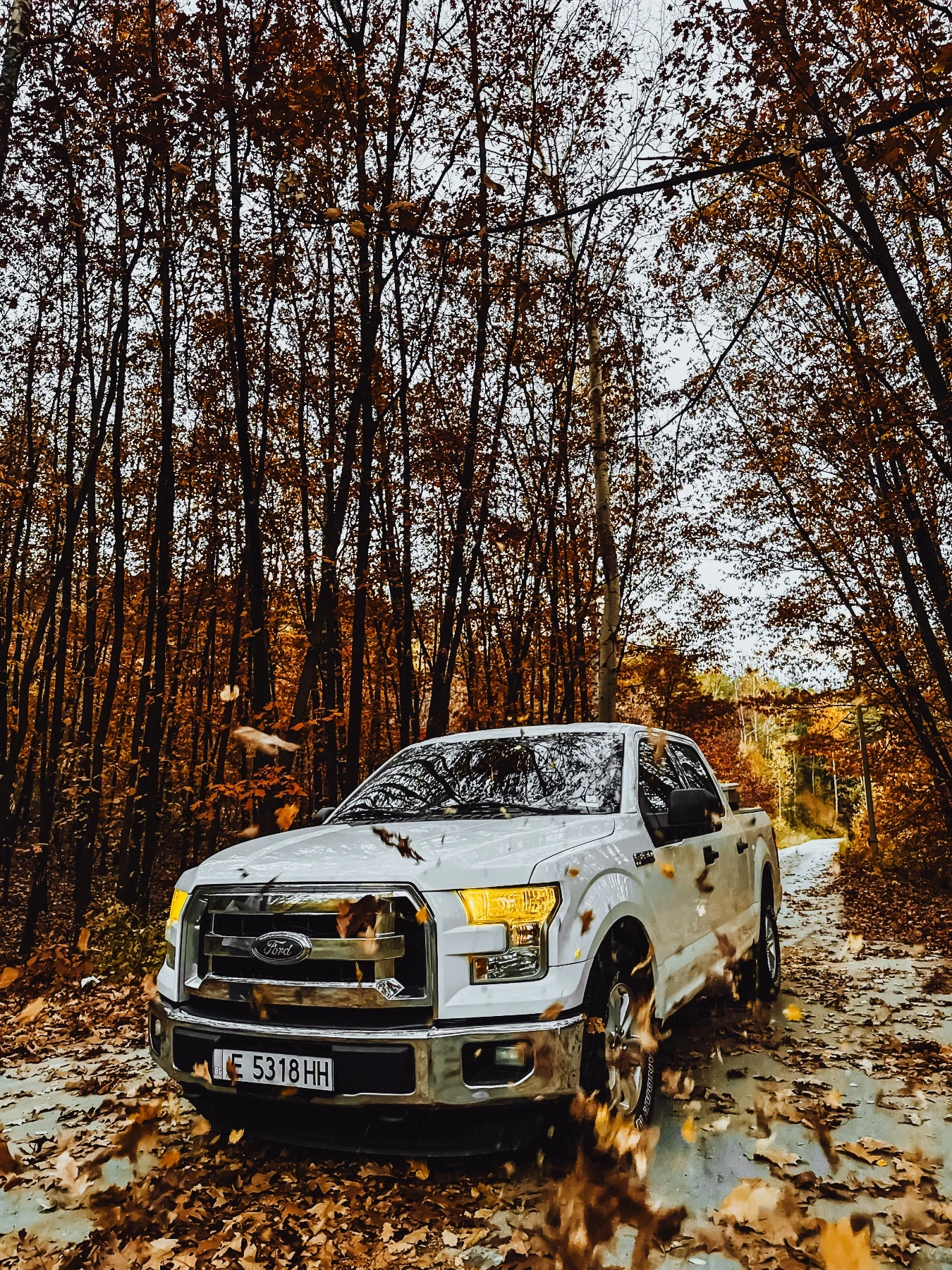 Ford F150 Пикап  - изображение 2