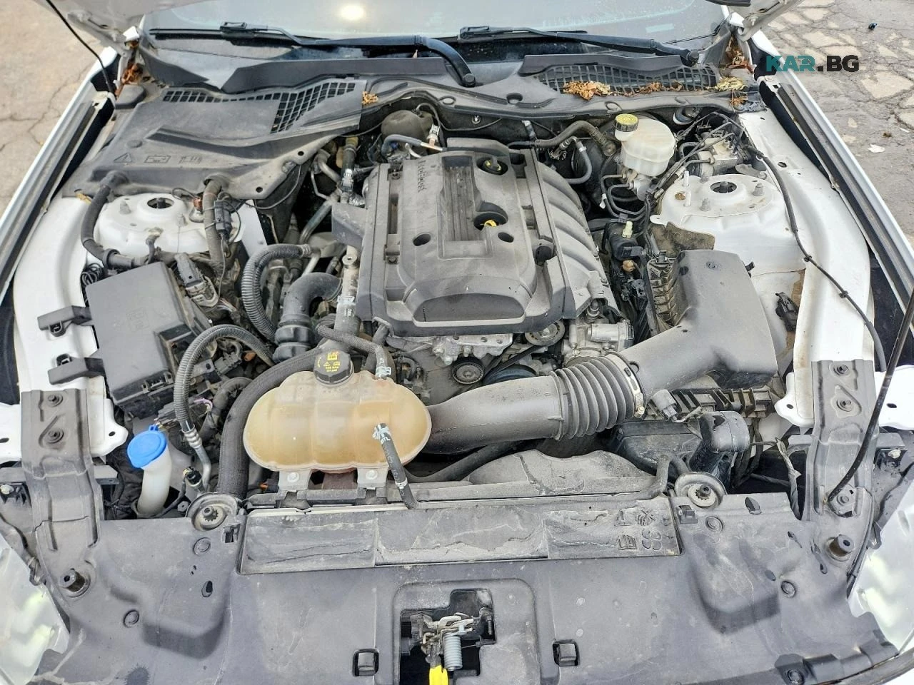 Ford Mustang * ����������* (���� �� ��) | Mobile.bg � ����������� 11