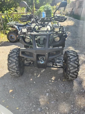 Shineray XY 250 | Mobile.bg    13