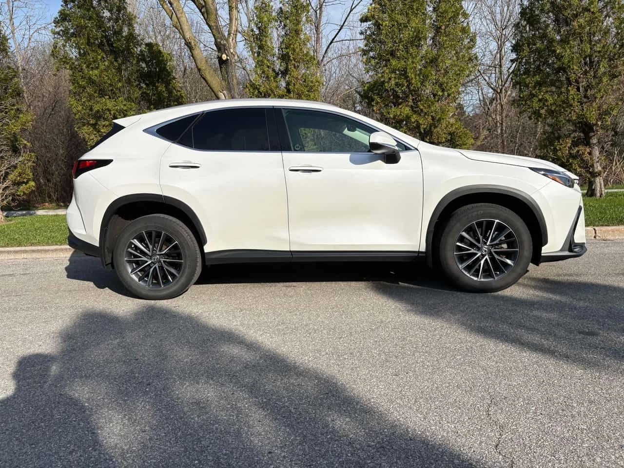 Lexus NX 250  CARFAX, снимка 3 - Автомобили и джипове - 54315573