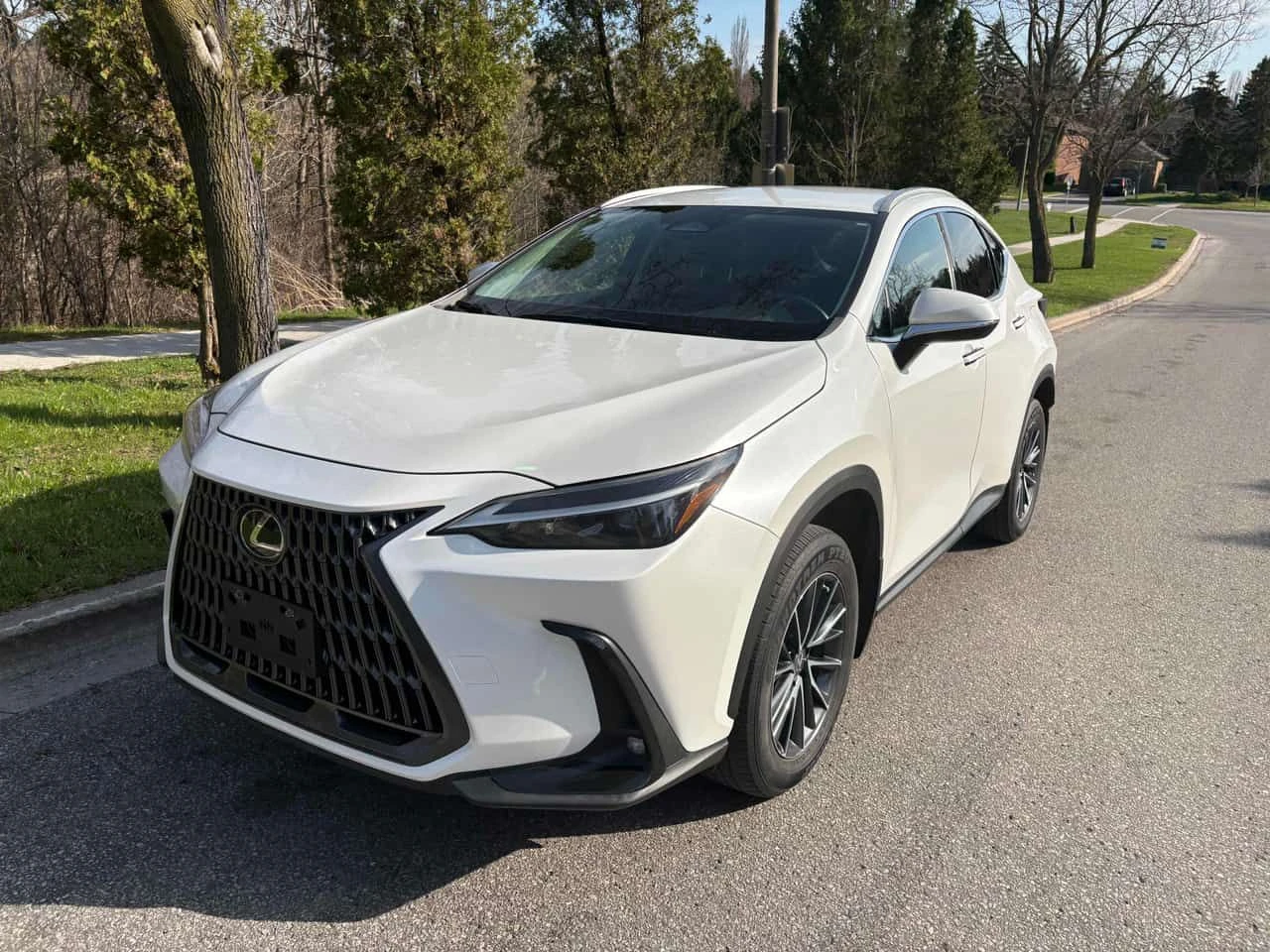 Lexus NX 250  CARFAX
