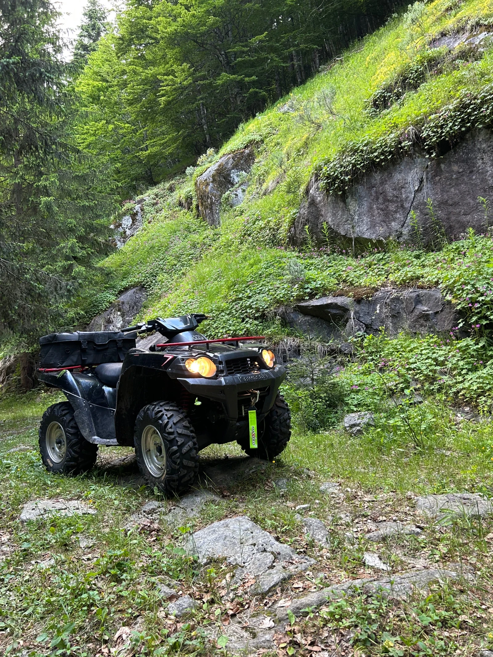 Kawasaki Brute Force Kawasaki Brute Force 750 - изображение 7