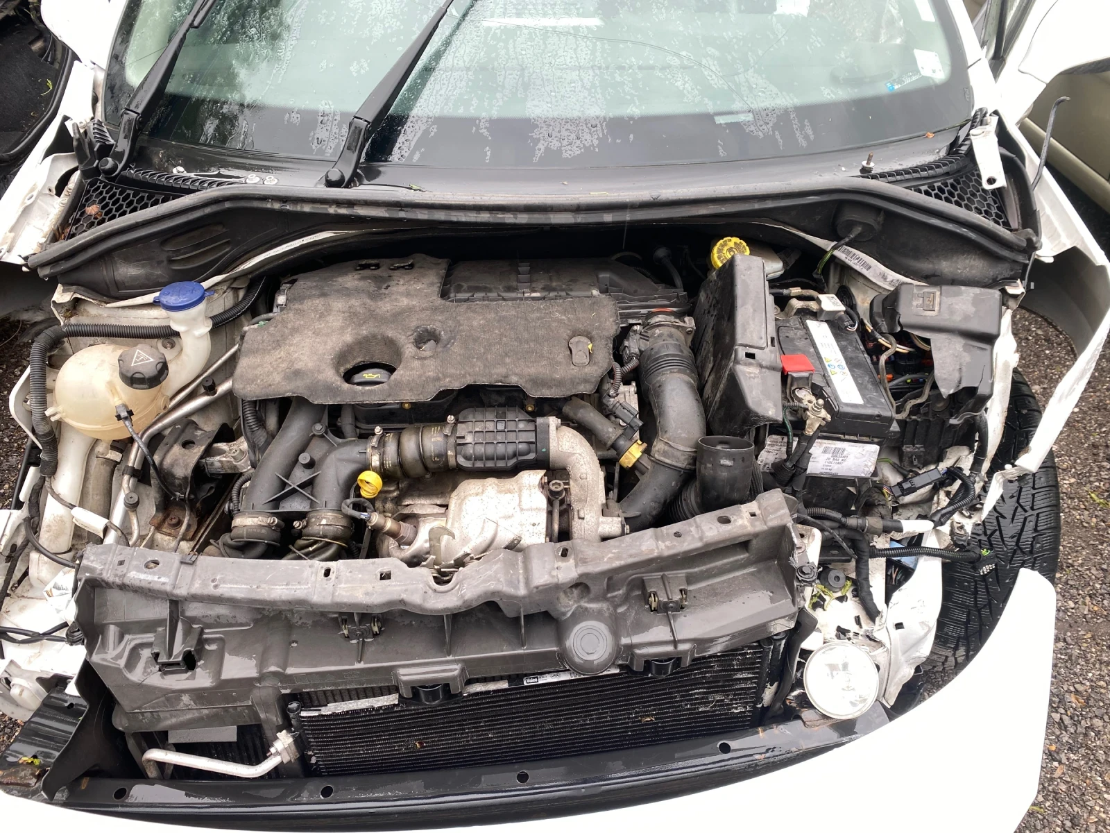 Peugeot 207 1.6хди 116кс 6ск CC - изображение 4