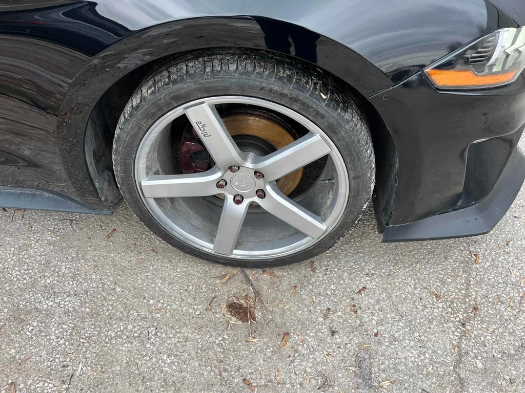 Ford Mustang * EcoBoost * CARFAX * ��� ������������ ������ | Mobile.bg � ����������� 7