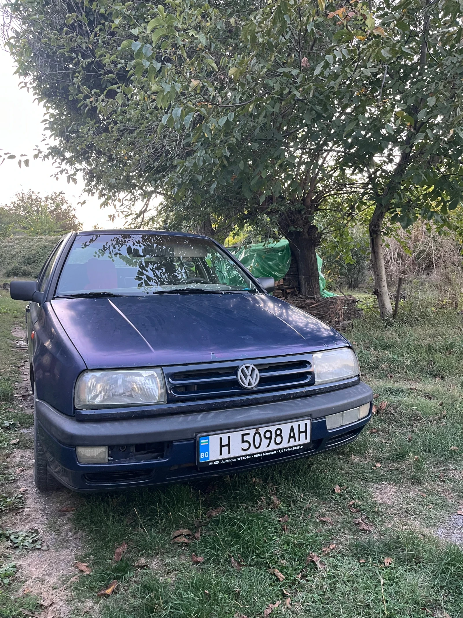 VW Vento
