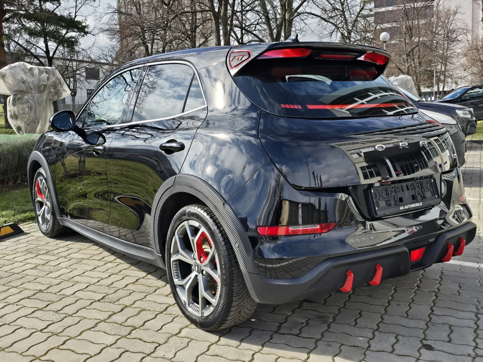 Great Wall ORA 03 400  GT - изображение 5