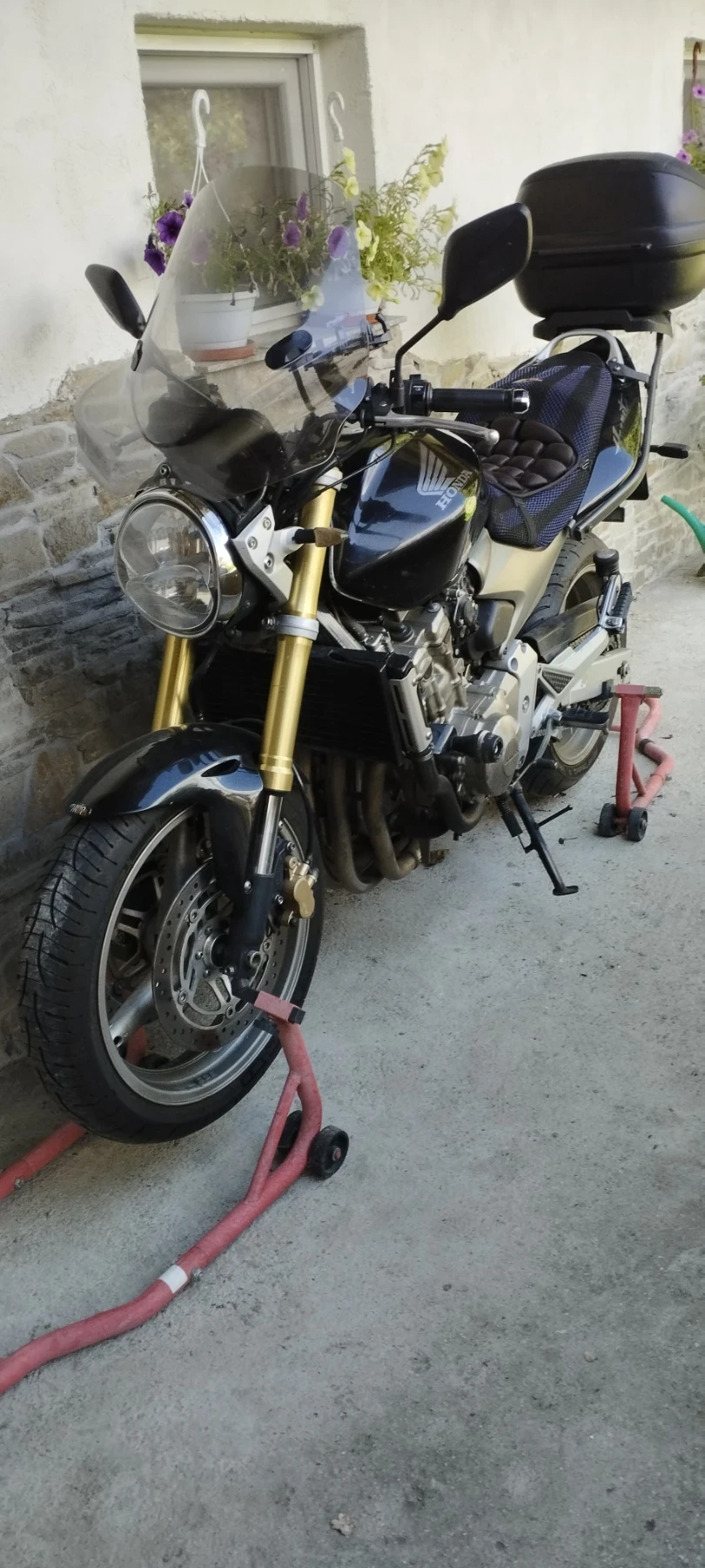 Honda Hornet 600 - изображение 4