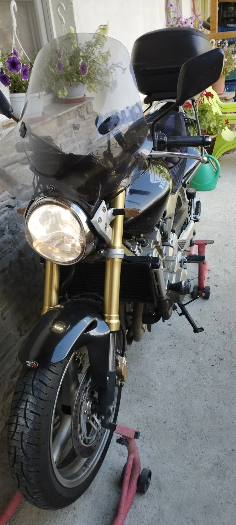 Honda Hornet 600 - изображение 9