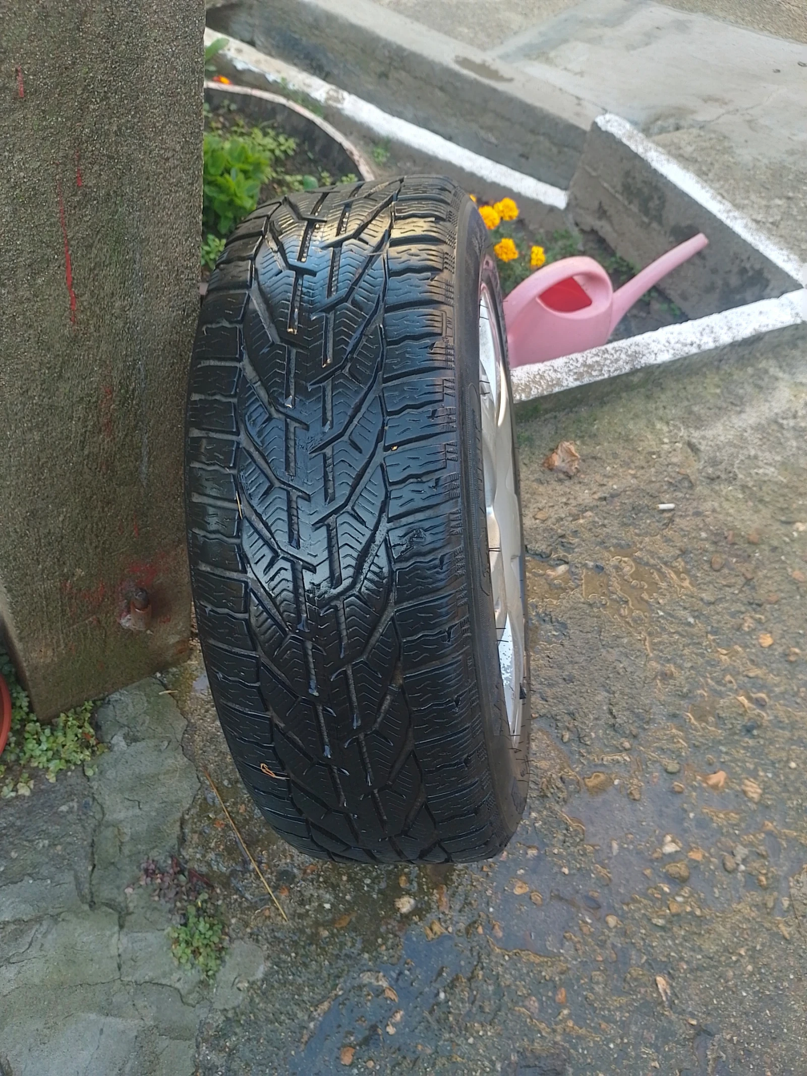    205/55R16  VW Passat | Mobile.bg   2