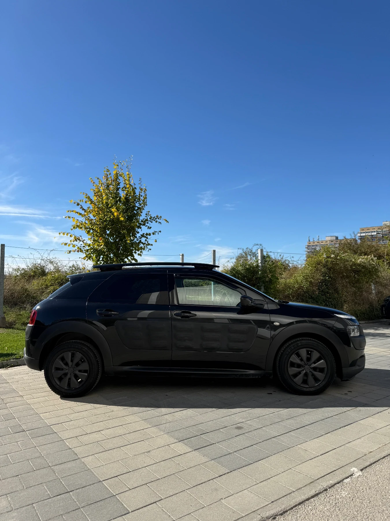 Citroen C4 Cactus 1.6HDI | Mobile.bg � ����������� 5