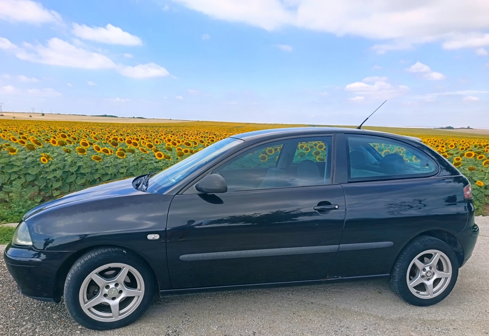 Seat Ibiza 1.9 TDI - изображение 2