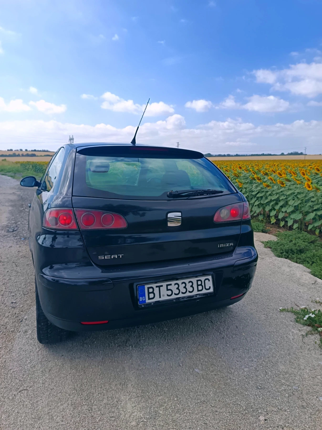 Seat Ibiza 1.9 TDI - изображение 5