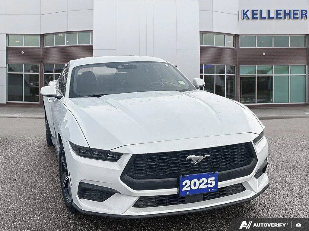 Ford Mustang 2.3 EcoBoost FASTBACK* КАМЕРА* КРАЙНА ЦЕНА* , снимка 2 - Автомобили и джипове - 55664054