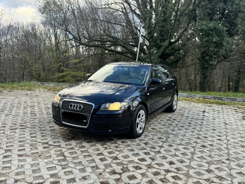 Audi A3 Като нова 1.9 TDI, снимка 6 - Автомобили и джипове - 48080772