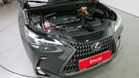 Lexus NX 350h, снимка 14