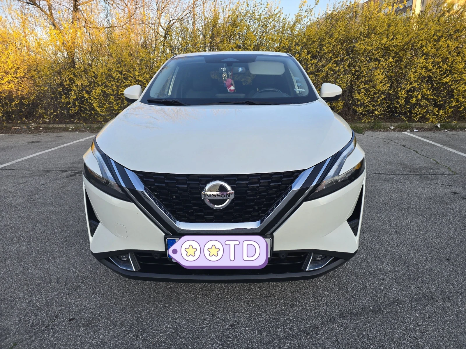 Nissan Qashqai, снимка 12 - Автомобили и джипове - 53829760