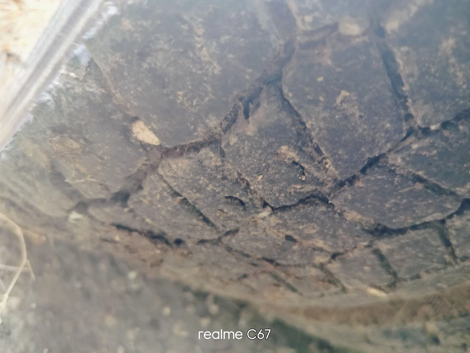 Man 8.163 6   | Mobile.bg   11