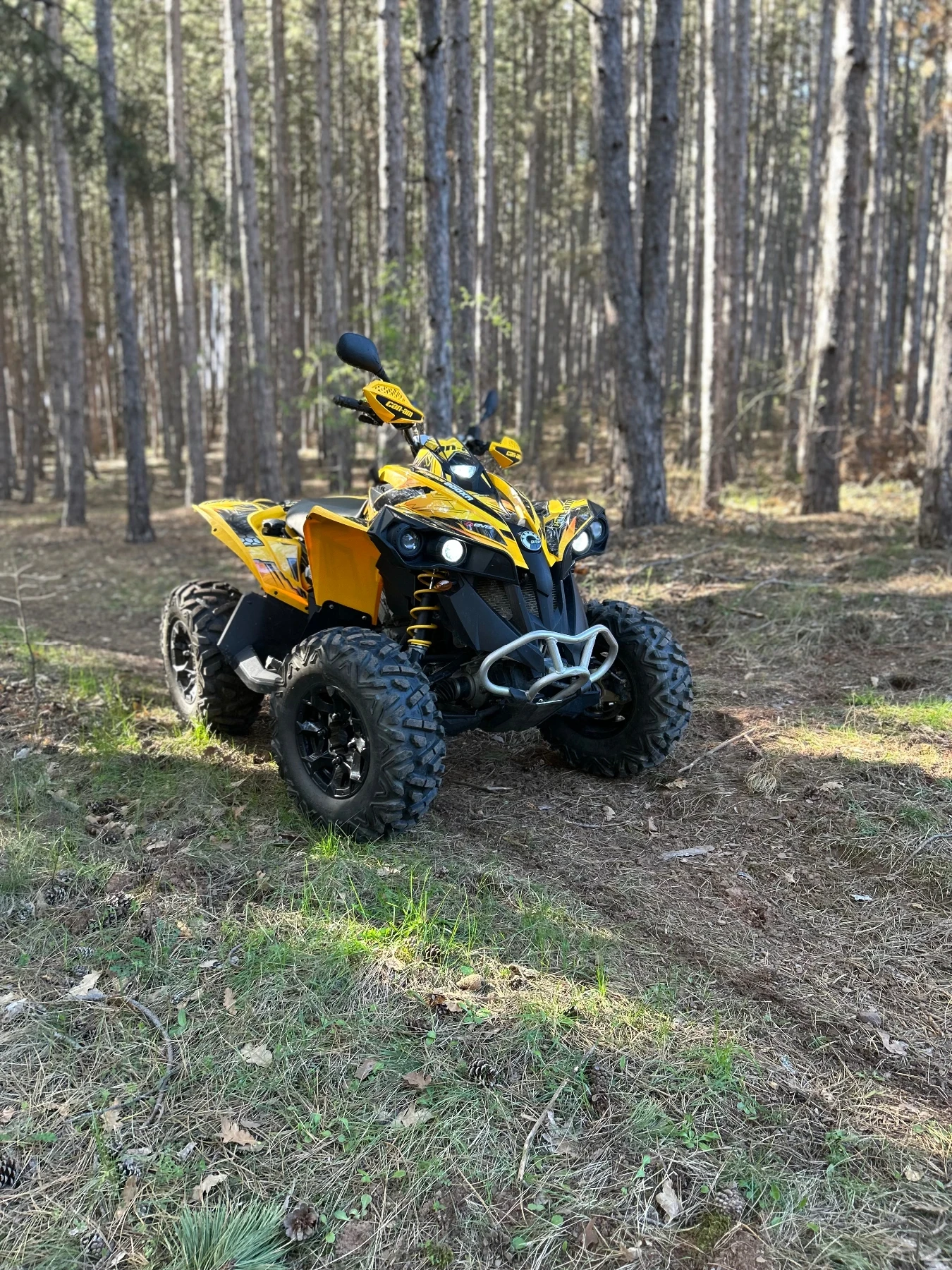 Can-Am Renеgade  - изображение 2