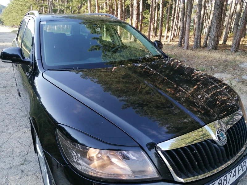 Skoda Octavia, снимка 8 - Автомобили и джипове - 52518225