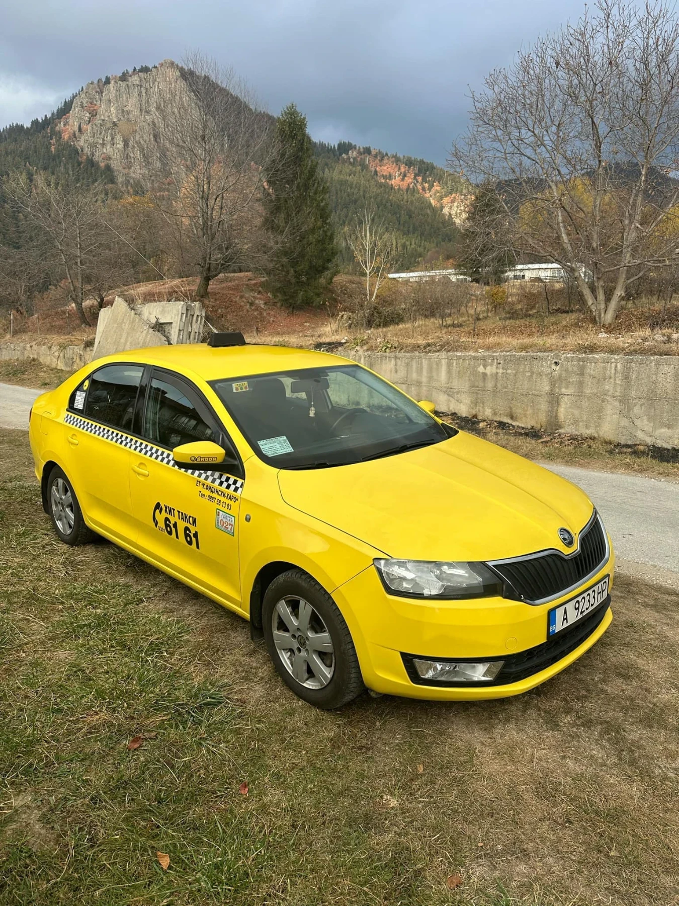 Skoda Rapid 1.6 TDI - изображение 8