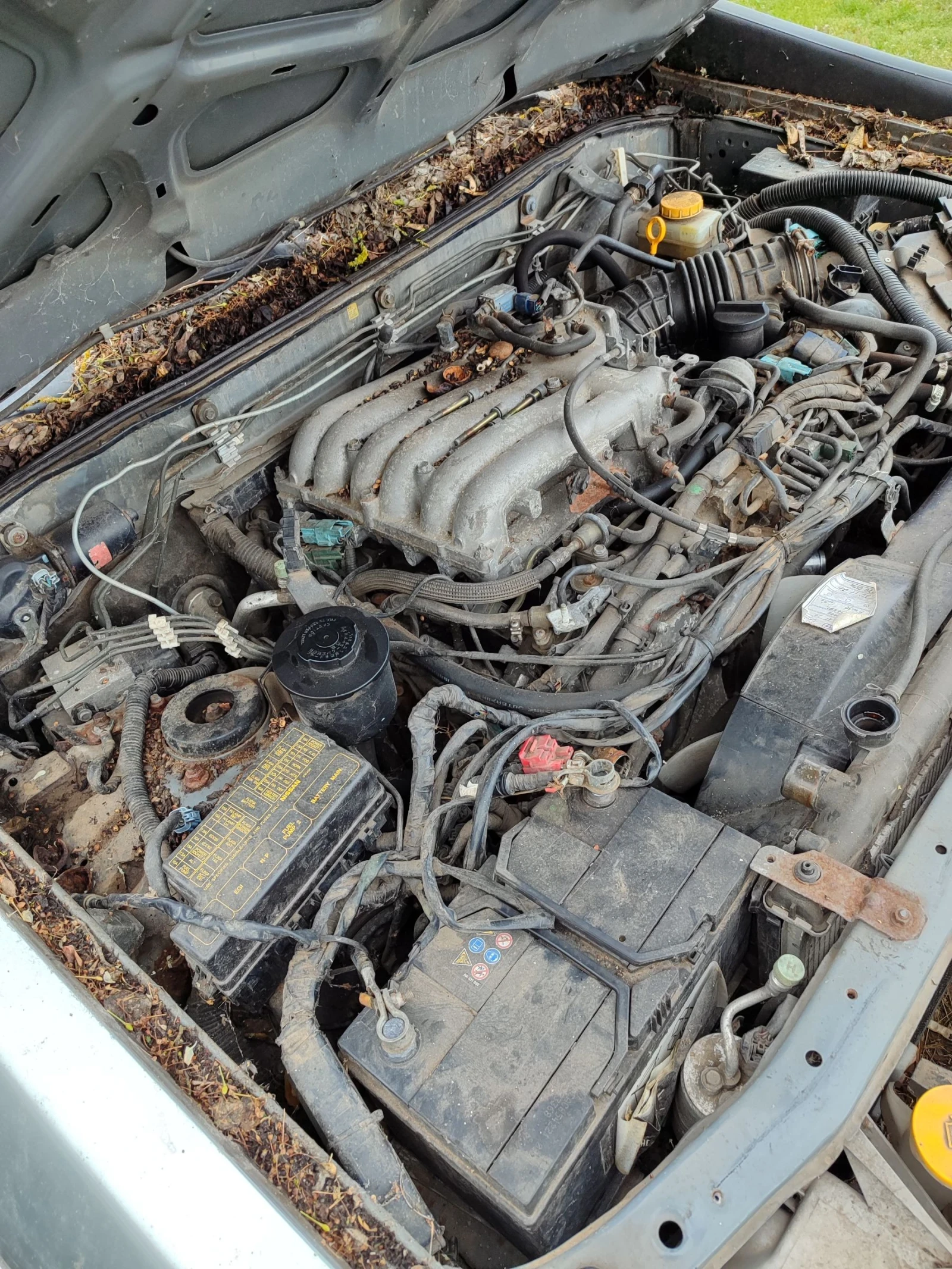 Nissan Pathfinder 3.5 На части! , снимка 6 - Автомобили и джипове - 54207292