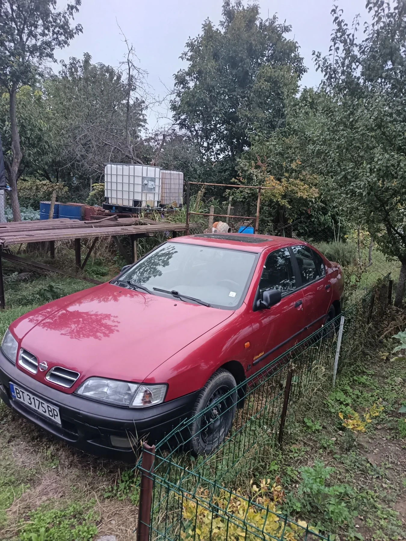 Nissan Primera, снимка 2 - Автомобили и джипове - 56329484