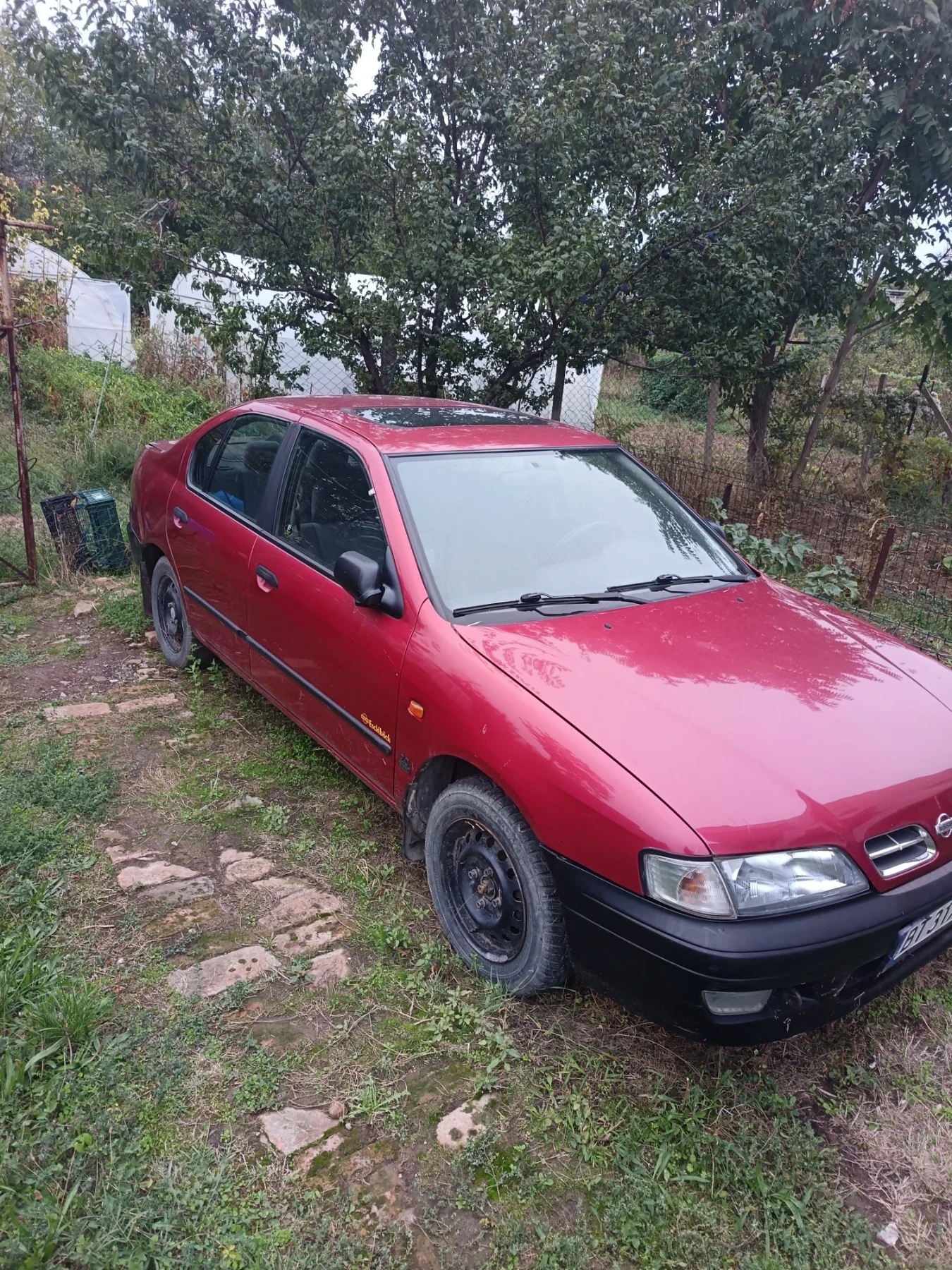 Nissan Primera, снимка 1 - Автомобили и джипове - 56329484