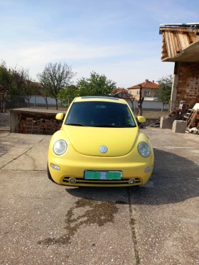     VW Beetle