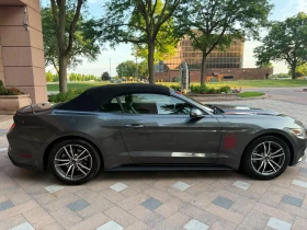 Ford Mustang Cabrio EcoBoost - 28999 лв. / 14826.95 € - 22237814 3