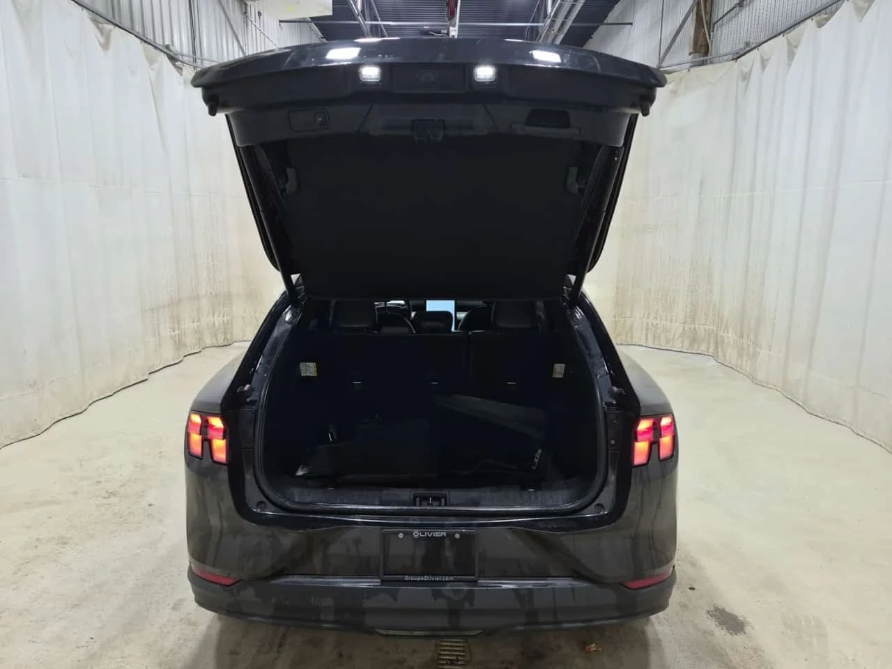 Ford Mustang Mach-E * SELECT * ���������� ��� ������������ ������*  | Mobile.bg � ����������� 14