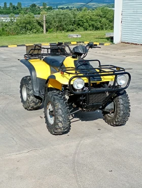 Linhai 300, снимка 1