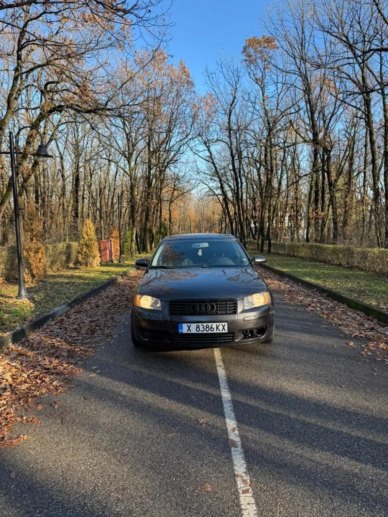 Audi A3 1.6i, снимка 3 - Автомобили и джипове - 48669585