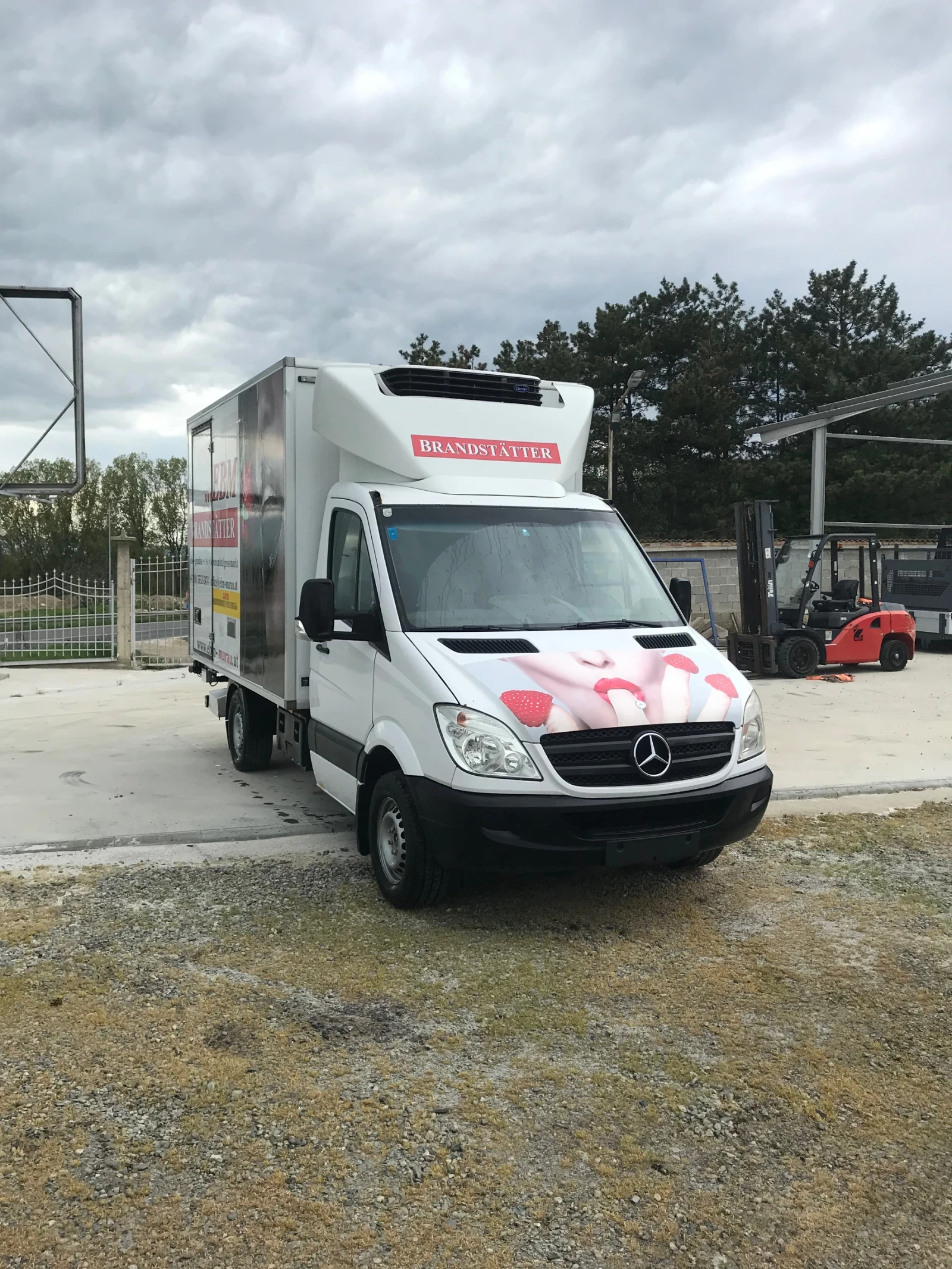 Mercedes-Benz Sprinter 316 Хладилен - изображение 3