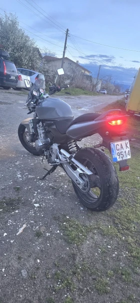 Honda Hornet PC36 | Auto.bg — изображение 8