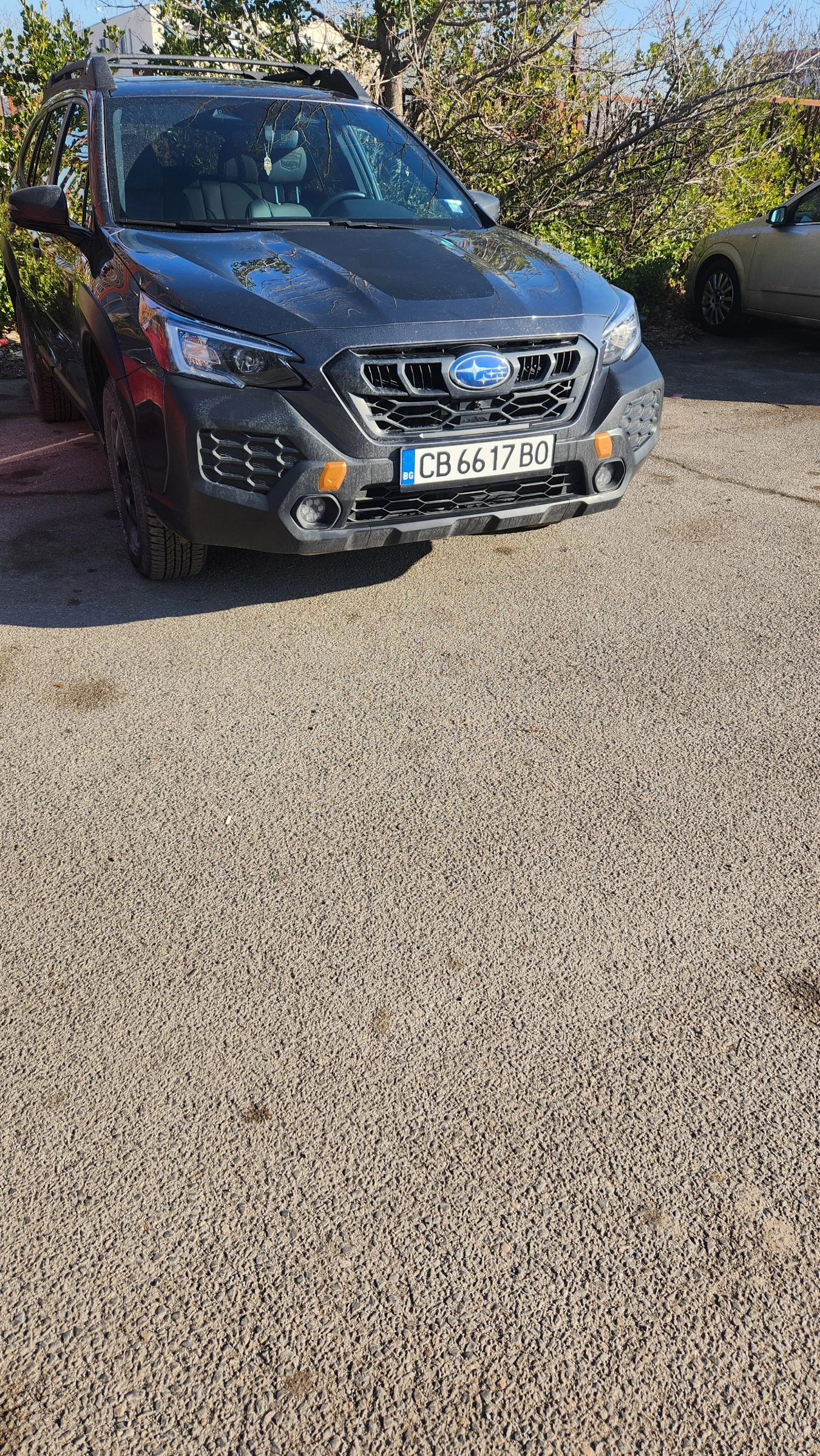 Subaru Outback Wilderness - изображение 2