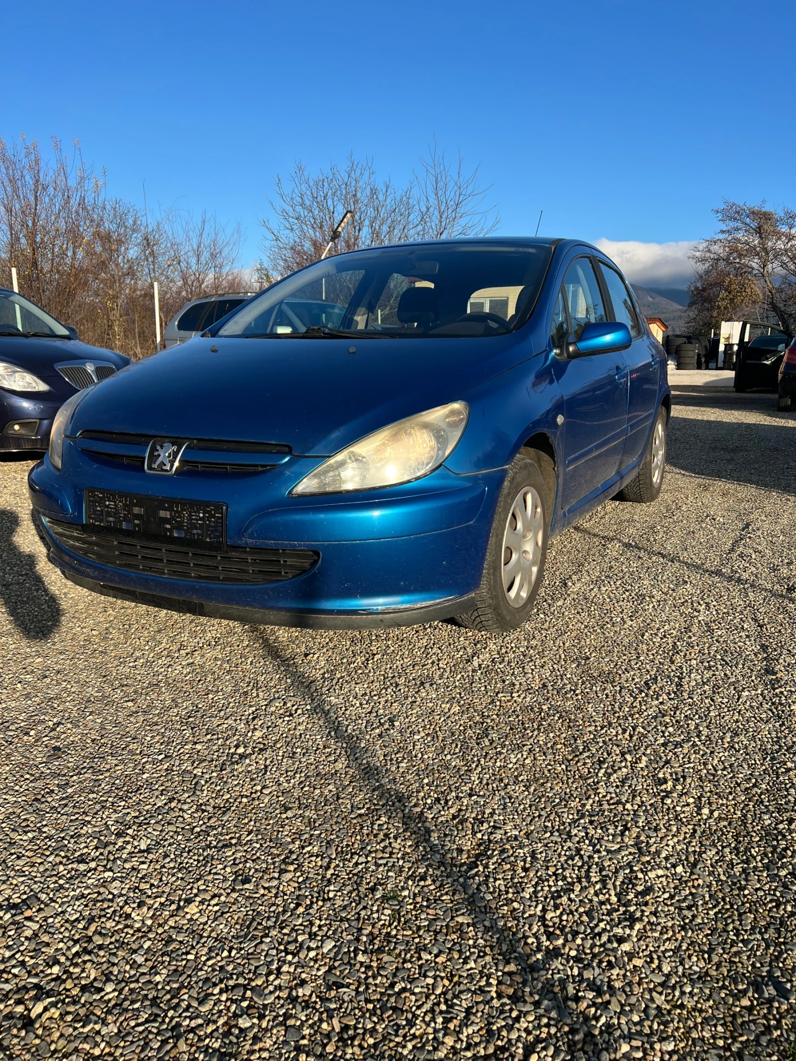 Peugeot 307 1.6i * ТОП* КЛИМА* , снимка 1