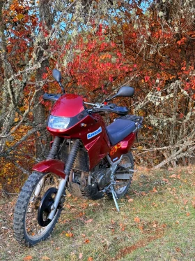 Kawasaki Kle, снимка 1 — Bazar.bg Kawasaki Kle, снимка 1