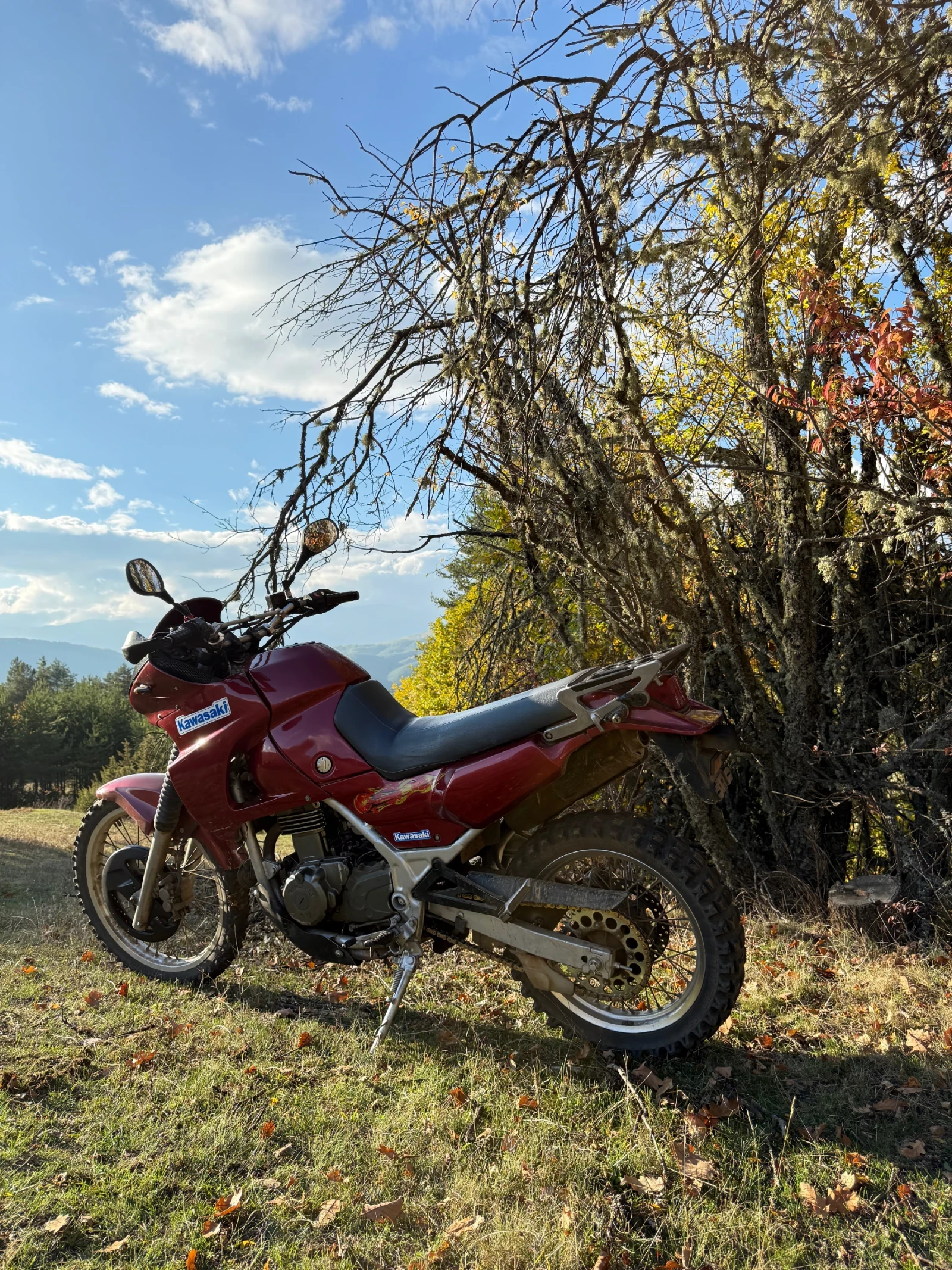 Kawasaki Kle  - изображение 5