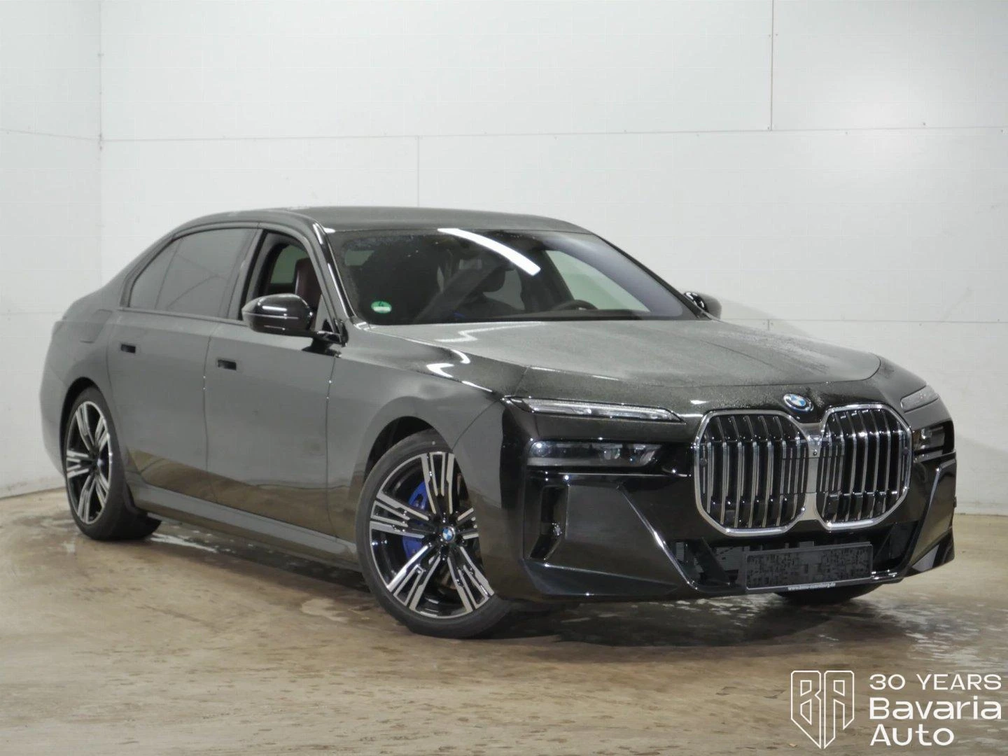 BMW 750 e xDrive M Sport Paket Sportautomatic - изображение 4