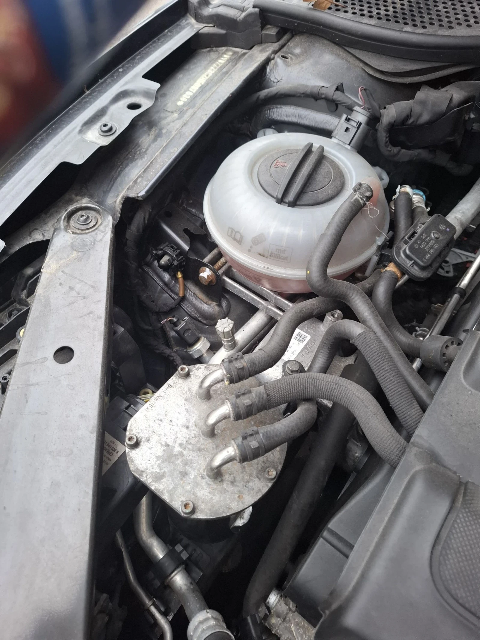 VW Passat В8 - изображение 8