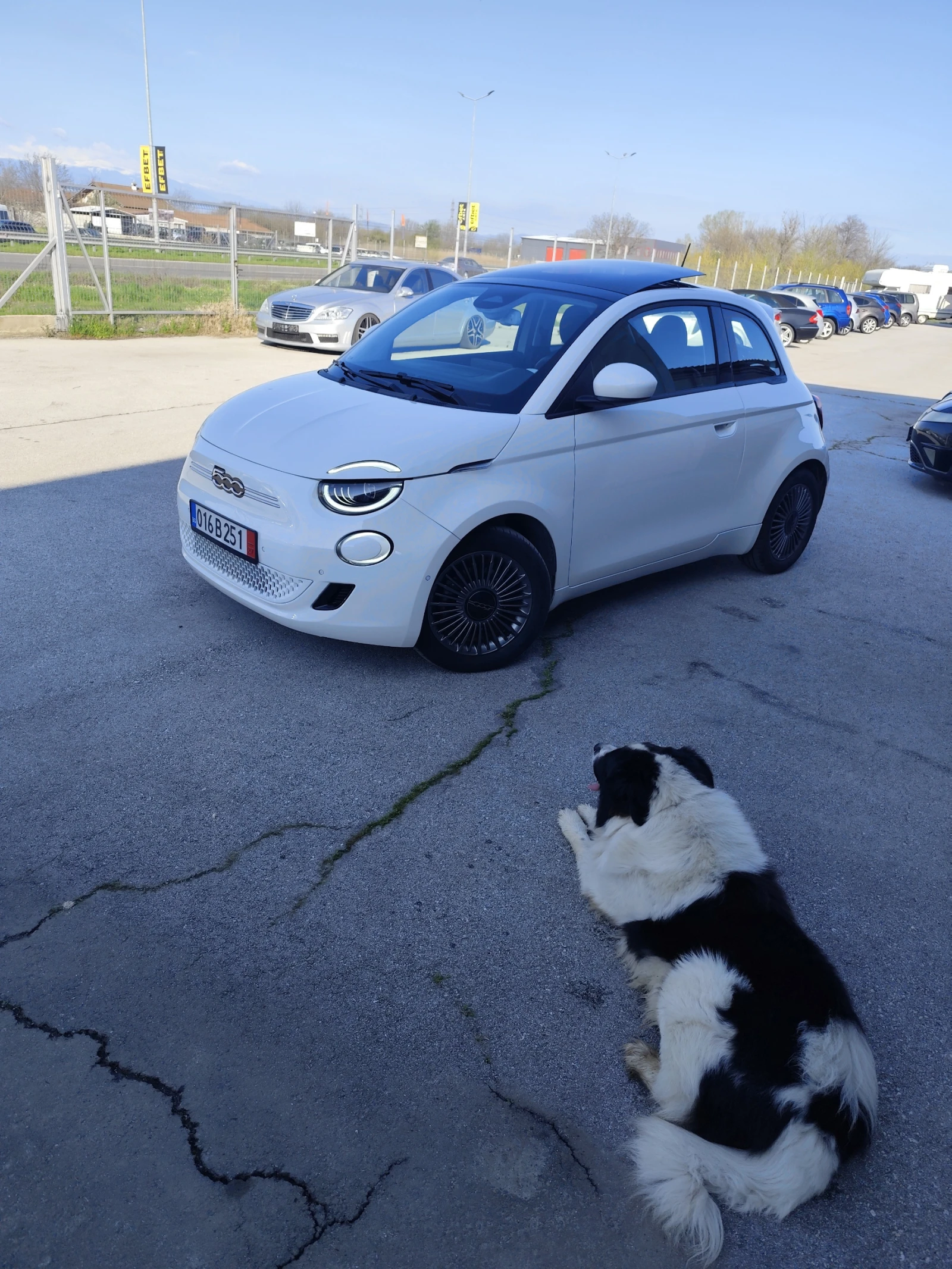 Fiat 500e Icon/42KW, снимка 14 - Автомобили и джипове - 54139389