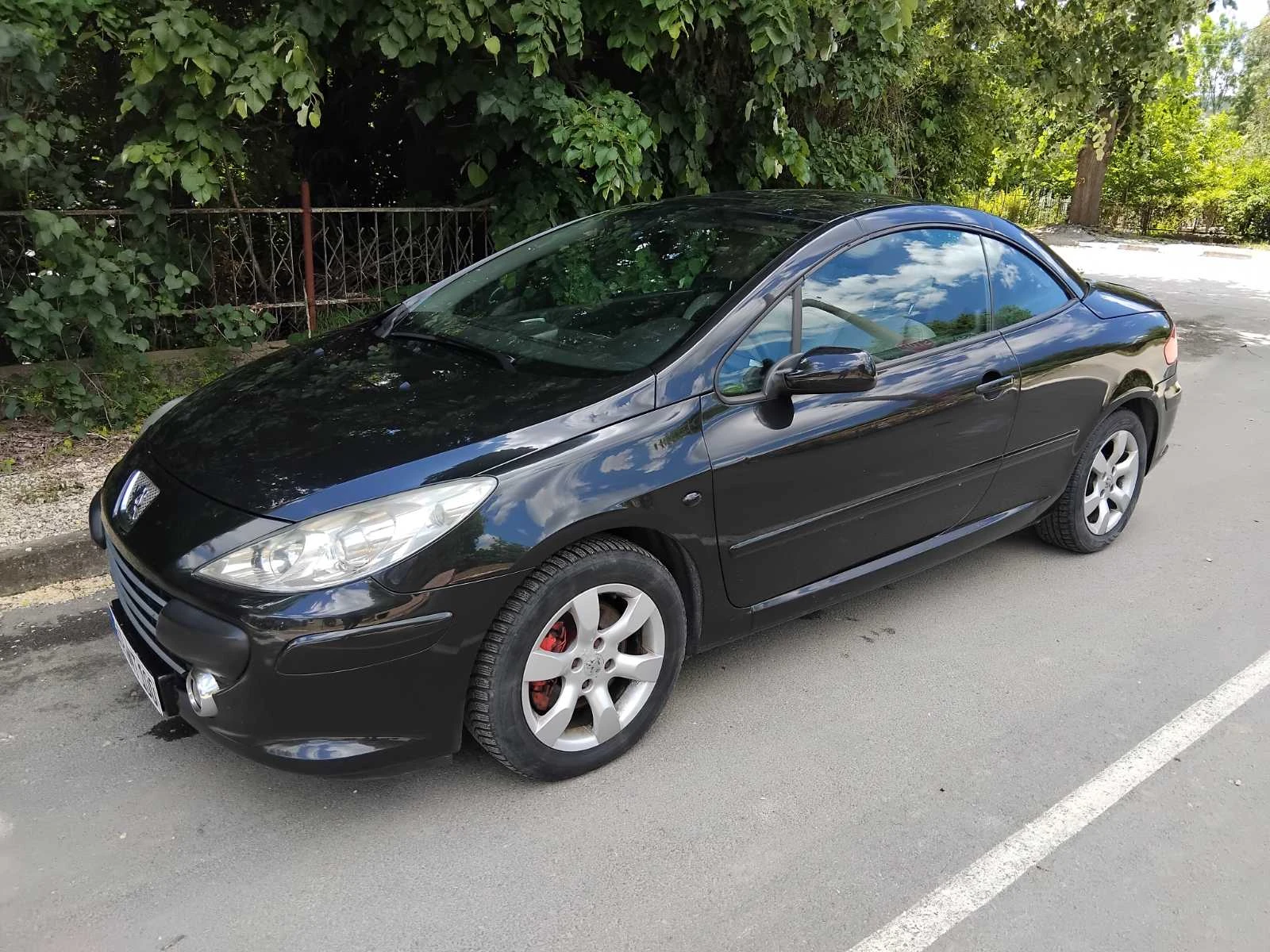 Peugeot 307 кабрио, снимка 7 - Автомобили и джипове - 54768745
