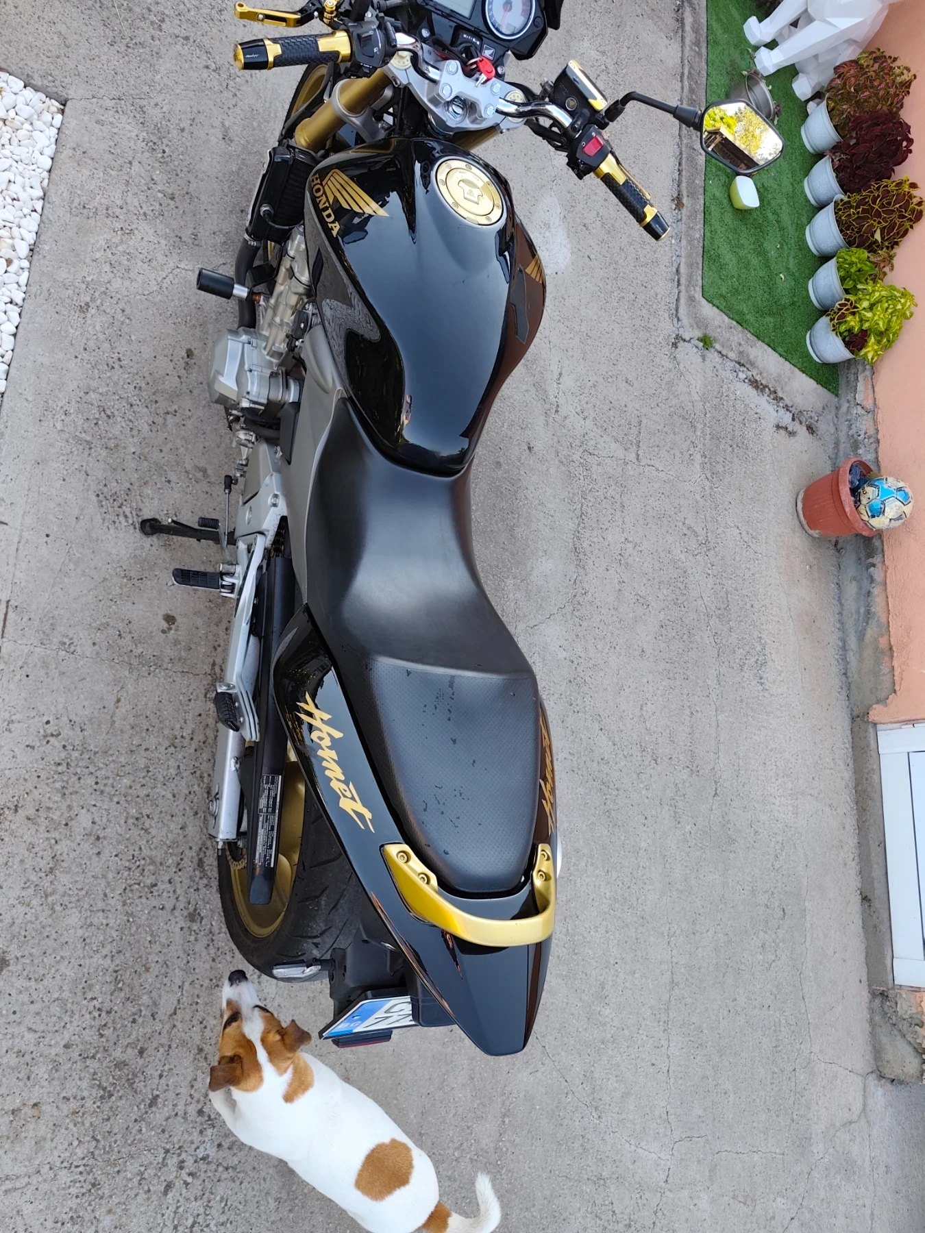 Honda Cb Hornet 600F, снимка 5 - Мотоциклети и мототехника - 55213440