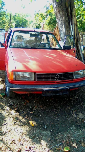     Peugeot 305    