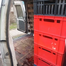 Peugeot Expert - 2000 € / 3911.66 лв. - 54476058 5